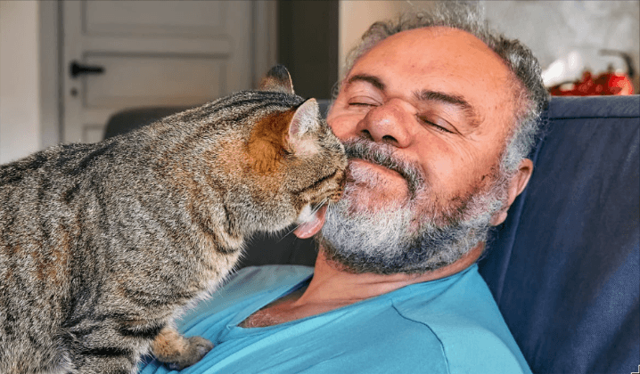 The Best Pet Insurance Companies of 2025